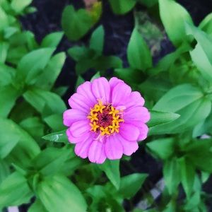 Meet your Posher, Cristina